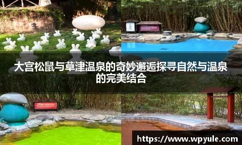 78m威九国际(集团)中国区有限公司-BinG百科